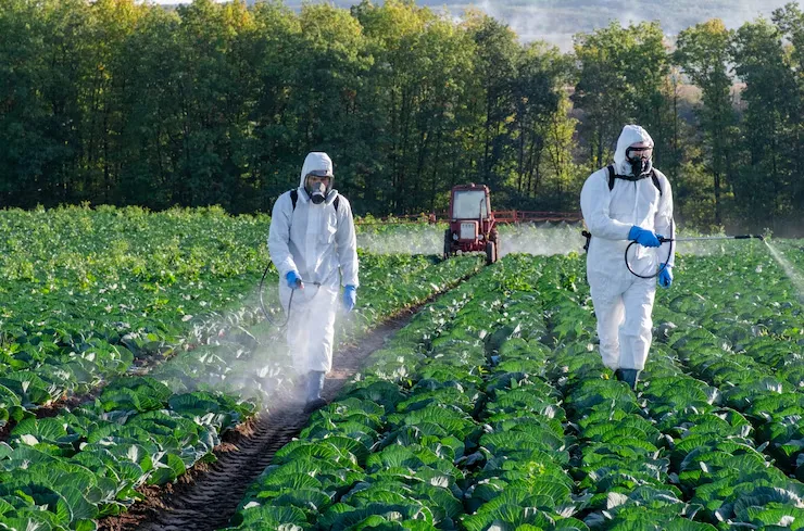 agricultores-rociando-pesticidas-campo-mascara-cosecha-proteccion-quimica-dos_159341-1764